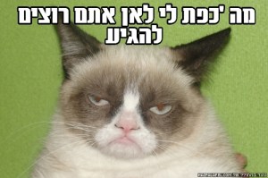 ממ חתול עליזה